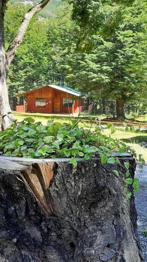Cabanas Rapidos Del Rio Baker Puerto Bertrand Dış mekan fotoğraf